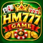 HM777 Game icon