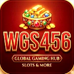 WGS456 Game: A Complete Guide for Pakistani Users
