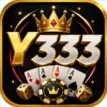 Y333 App Guide: Features, Installation & User Information