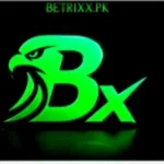 betrizz apk logo