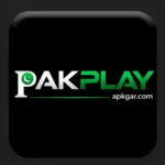 PAKPLAY game APK icon for Android gaming