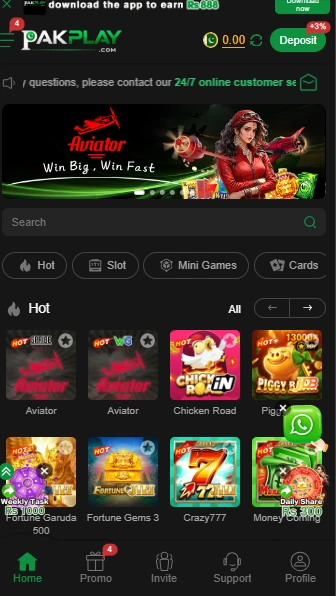 pakplay game login interface
