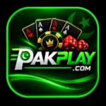 pakplay game icon